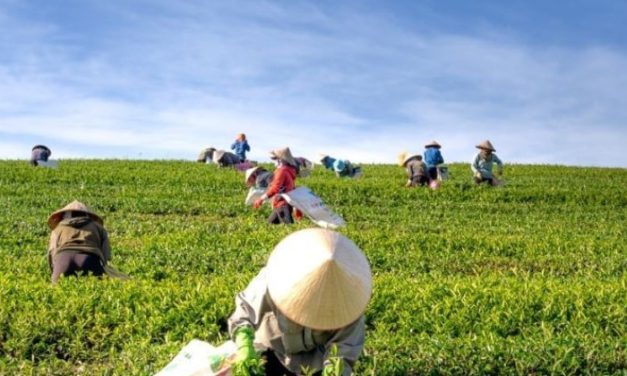 Berita Terkini: Dinamika Politik, Ekonomi, Dan Teknologi