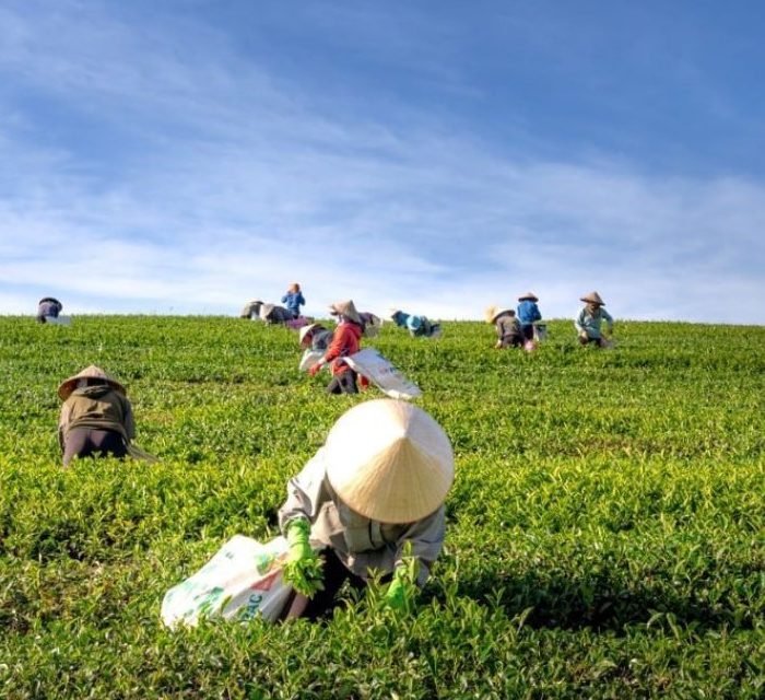 Berita Terkini: Dinamika Politik, Ekonomi, Dan Teknologi