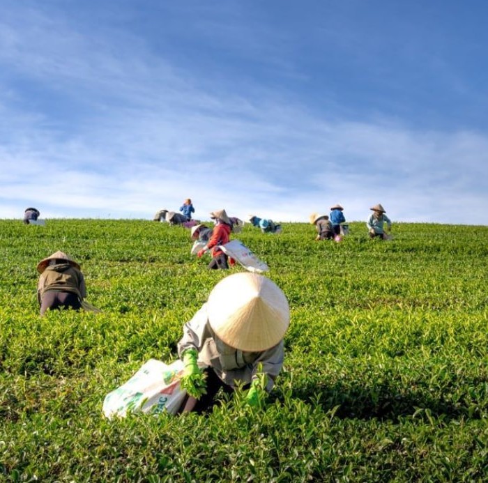 Berita Terkini: Dinamika Politik, Ekonomi, Dan Teknologi