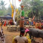 Ragam Tradisi Unik Dari Berbagai Daerah Di Indonesia