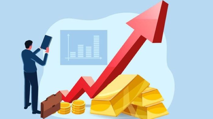 Peluang Investasi Di Tengah Perubahan Ekonomi